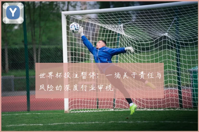 世界杯投注暂停:一场关于责任与风险的深度行业审视