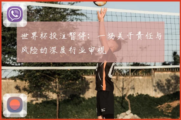 世界杯投注暂停:一场关于责任与风险的深度行业审视