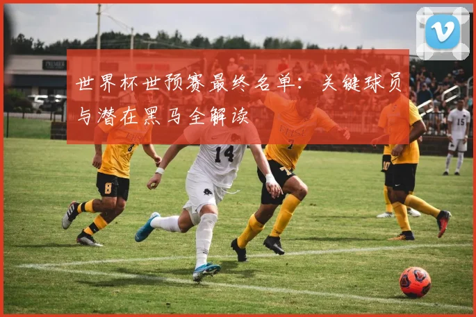 世界杯世预赛最终名单：关键球员与潜在黑马全解读